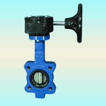 Triple Offset Butterfly Valves, 24 Inch