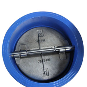 Double Disk Wafer Check Valves, DI, SS410 Shaft