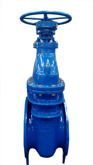 Flanged Ductile Iron Gate Valves, 24 Inch