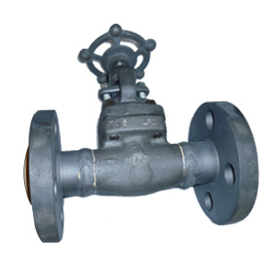 Forged Steel Globe Valves, A350, 600LB