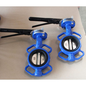 Cast Iron Wafer Butterfly Valve, API 609