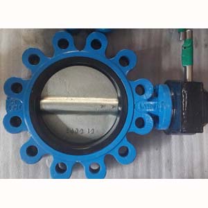 Gear Operated Butterfly Valve, PN25 DN100