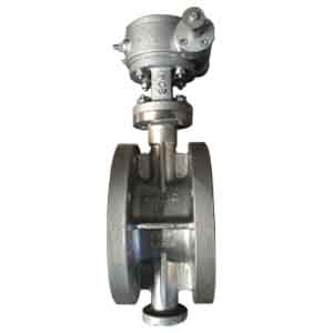 SS 304 Butterfly Valve, DN100, 125mm