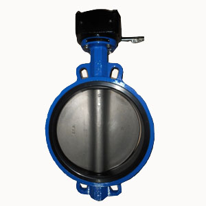 Wafer Butterfly Valve, Cast Iron, EPDM Seat