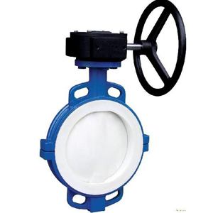 Cast Iron Butterfly Valves, DN80, PN50