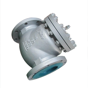 Flanged Swing Check Valves, BS 1868, WCB