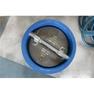 Cast Iron Wafer Type Butterfly Check Valve
