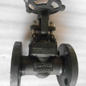 ASTM A105 Gate Valve, CL150, 3/4 Inch, RF