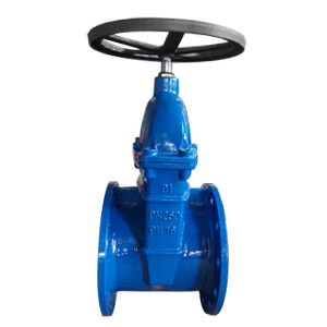 Flanged DI Gate Valves, 150 LB, 10 Inch