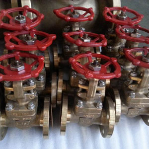 Flexible Wedge Gate Valves, FF, DN25