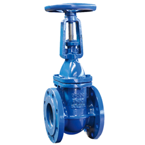 Rising Stem Gate Valves, GGG40, GGG50