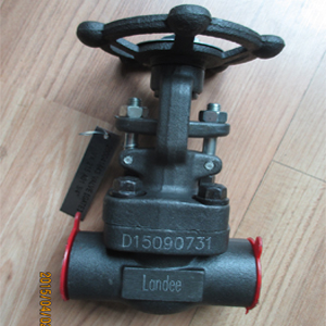 ANSI A105N Gate Valves, CS, DN20, API 602