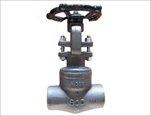 API 602 Gate Valves, A105N NPT DN25 PN150