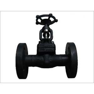 Forged Gate Valves, API 602, DN25, PN250