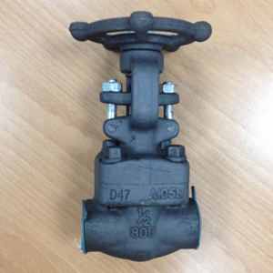 Forged Steel Gate Valves, ASTM A105N, DN15