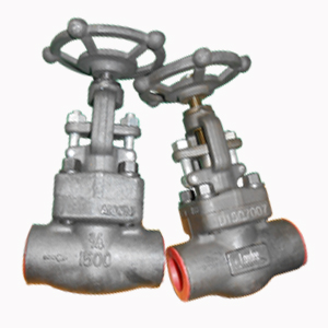 ASTM A105 Globe Valves, DN20, PN250, SW