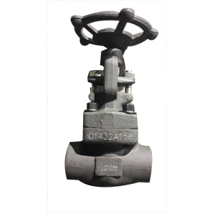 Globe Valves, ASTM A105N, CL1500, API 602