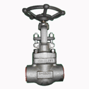 SW Globe Valves, DN25, PN250, ASTM A105