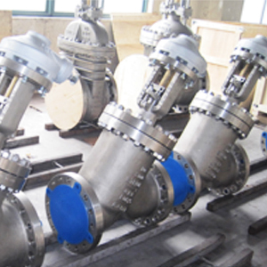 Y Globe Valves, ASTM A351 CF8, Flanged RF