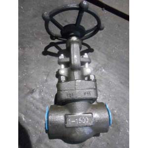 A182 F11 Globe Valves, PN250, DN25, BW