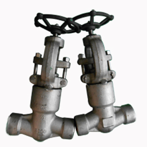 F304/SS304 Globe Valves, DN15, PN420, PSB