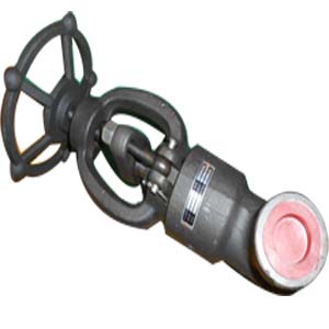 Socket Welded Globe Valves, PN420, DN25