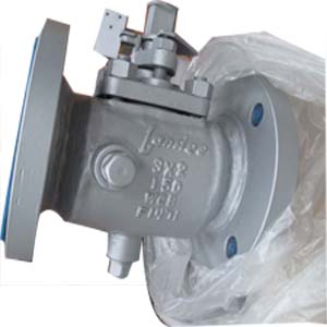 WCB Plug Valves, Steam Jacketed, RF