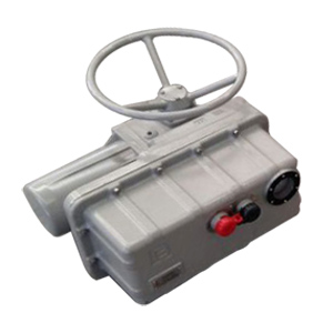 60 Hz Electric Valve Actuator, 3 Phase